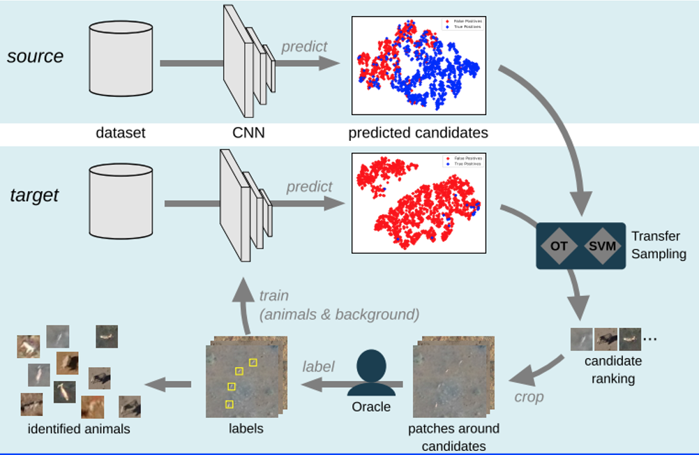 AI-based Automatic Tree Seedling Detection